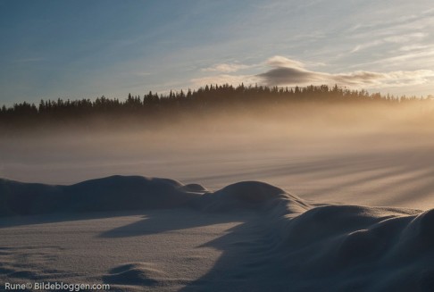 vinter-ormetjern