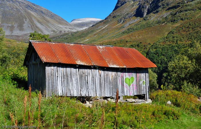 Kjærlighet i Møllsbygda