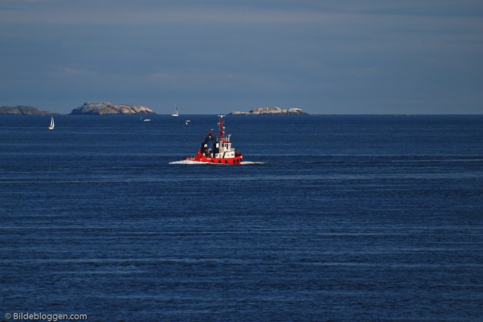 Slepebåten Bever - Larviksfjorden